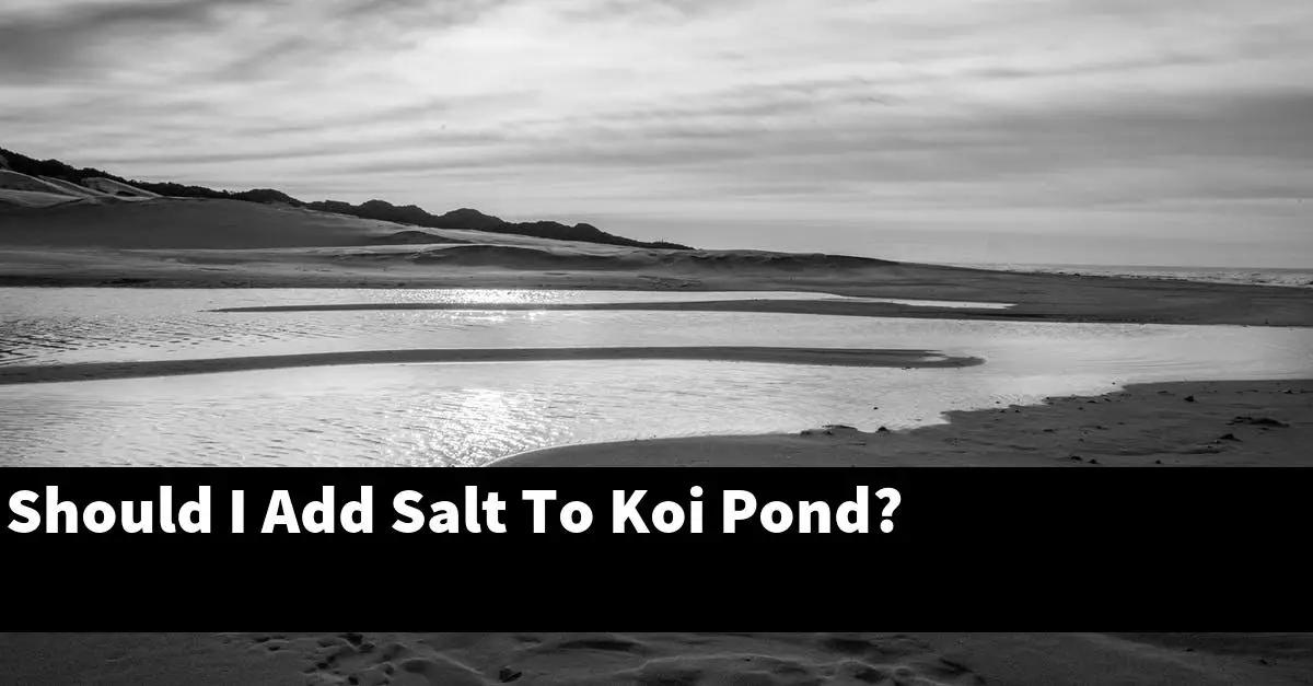 Should I Add Salt To Koi Pond?
