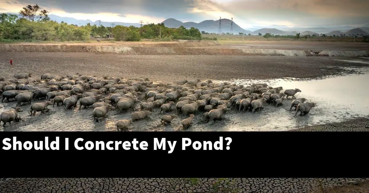Should I Concrete My Pond?