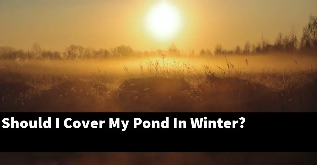 Should I Cover My Pond In Winter?