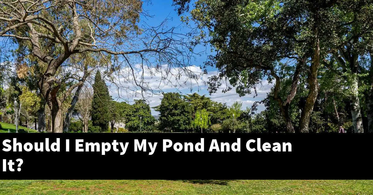 Should I Empty My Pond And Clean It?