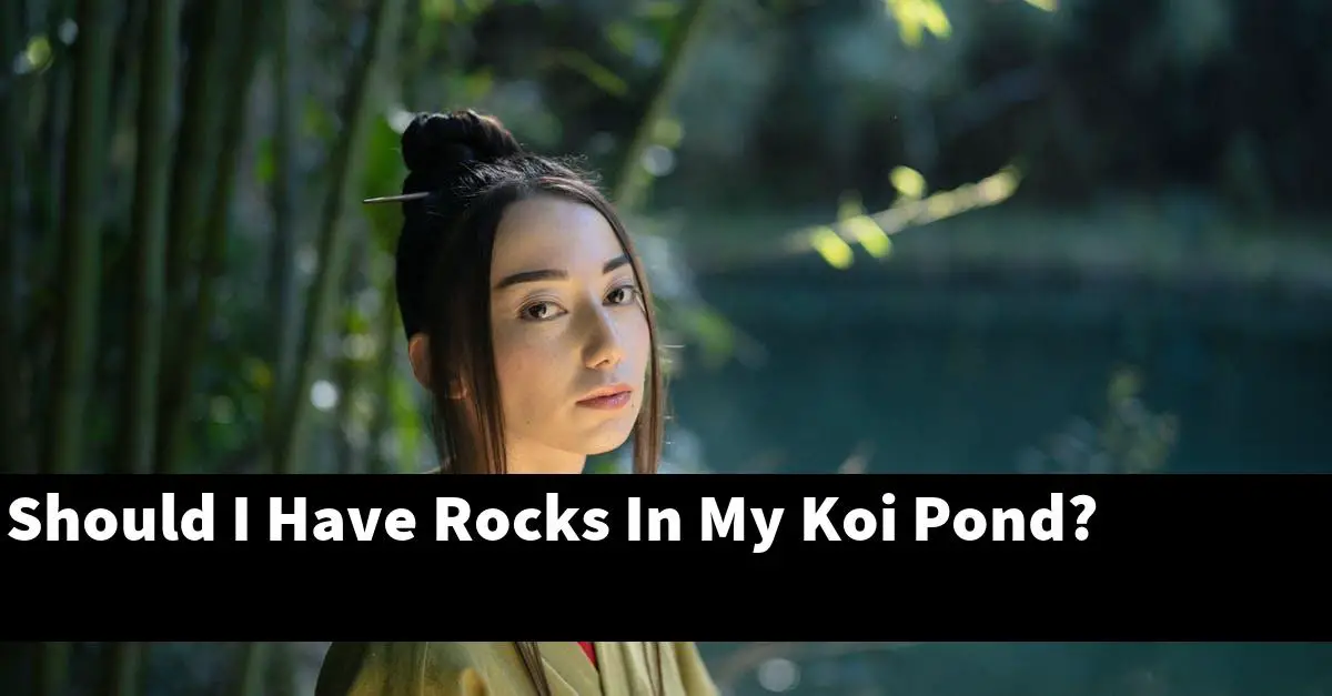 Should I Have Rocks In My Koi Pond?