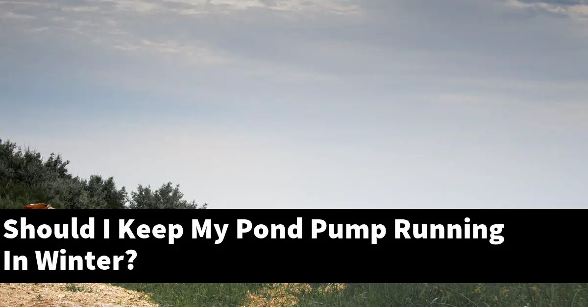 Should I Keep My Pond Pump Running In Winter?