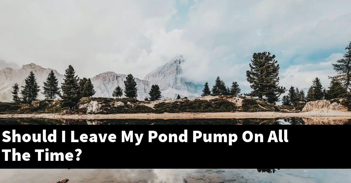 Should I Leave My Pond Pump On All The Time?