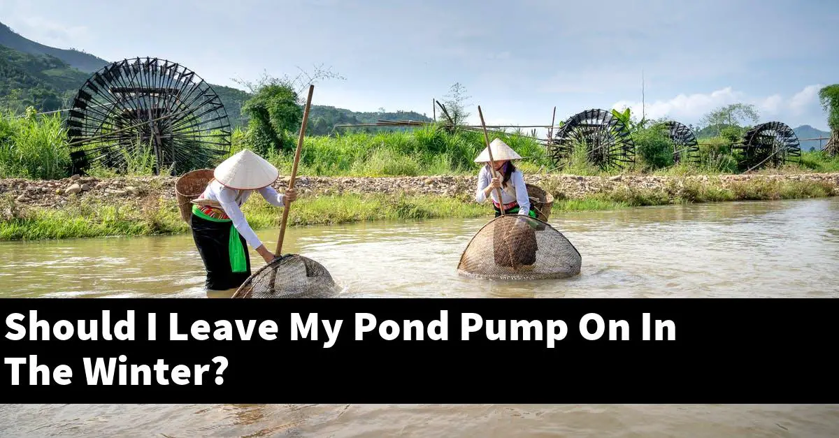 Should I Leave My Pond Pump On In The Winter?