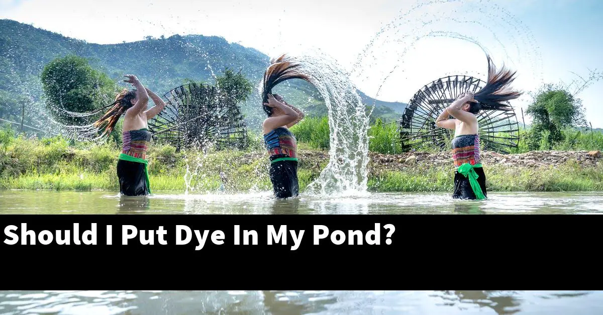 Should I Put Dye In My Pond?