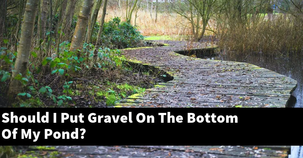 Should I Put Gravel On The Bottom Of My Pond?