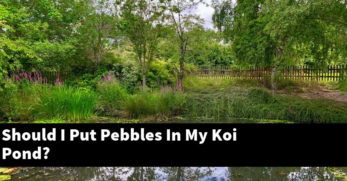 Should I Put Pebbles In My Koi Pond?