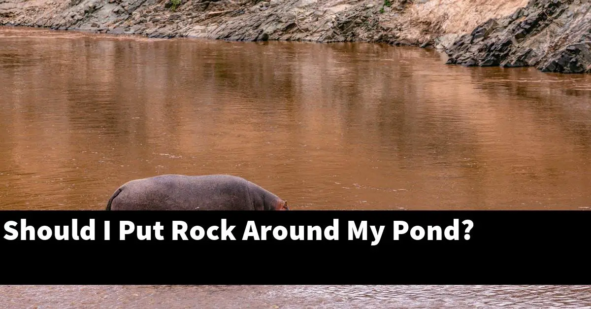 Should I Put Rock Around My Pond?