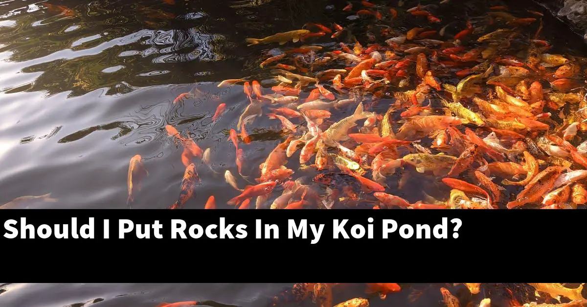 Should I Put Rocks In My Koi Pond?