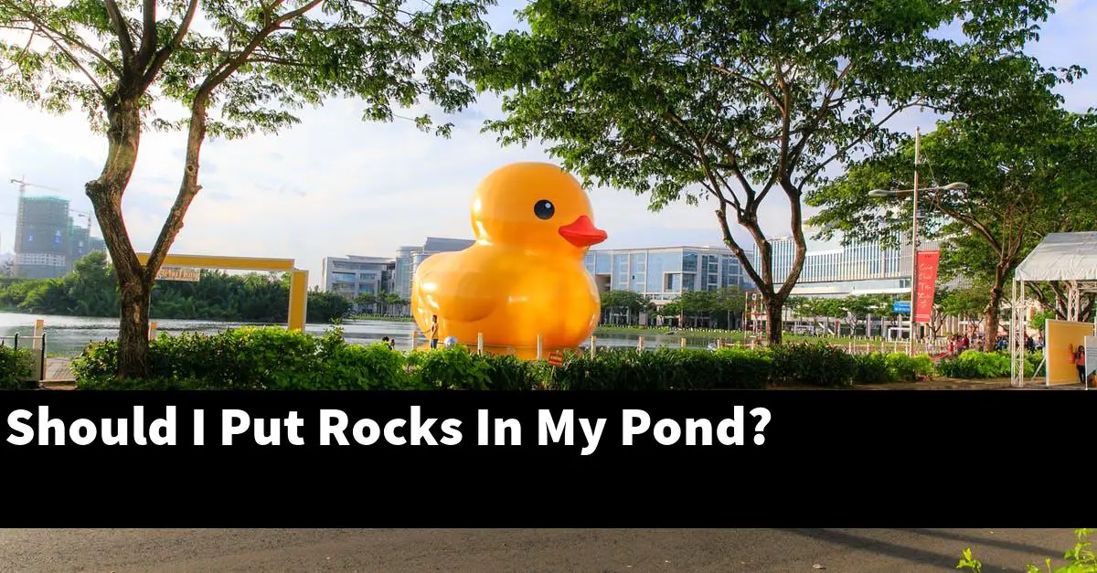 Should I Put Rocks In My Pond?