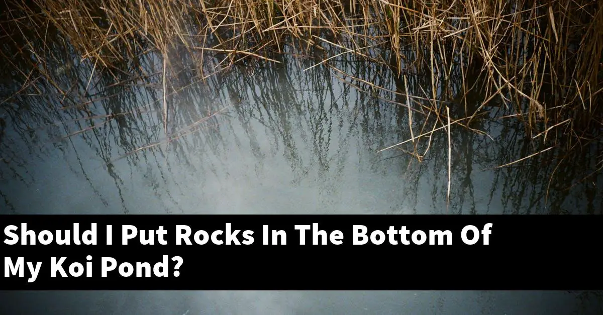 Should I Put Rocks In The Bottom Of My Koi Pond?