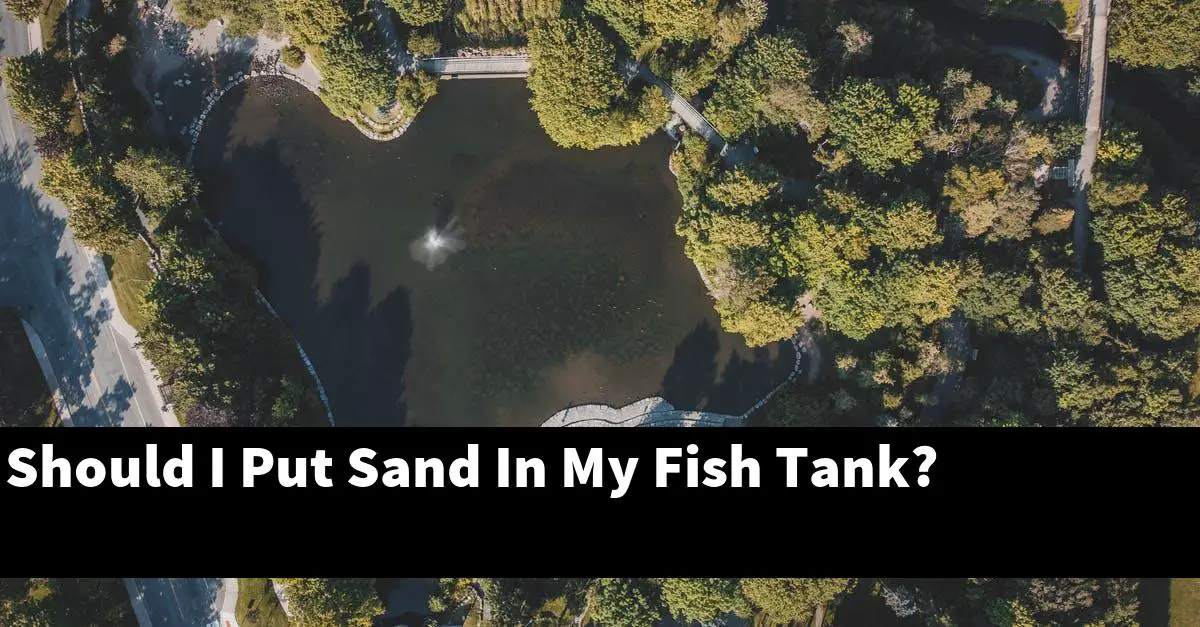 Should I Put Sand In My Fish Tank?