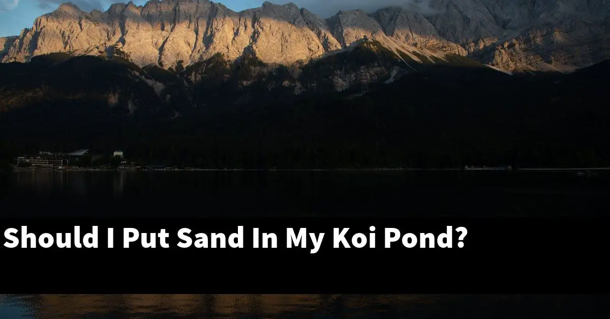 Should I Put Sand In My Koi Pond?