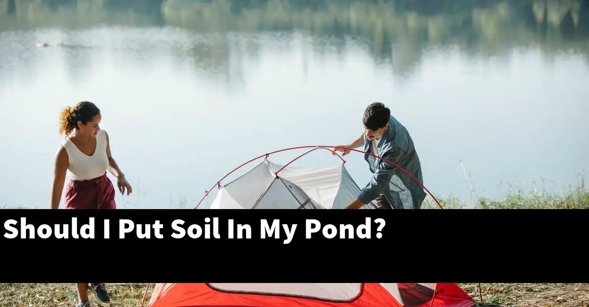 Should I Put Soil In My Pond?