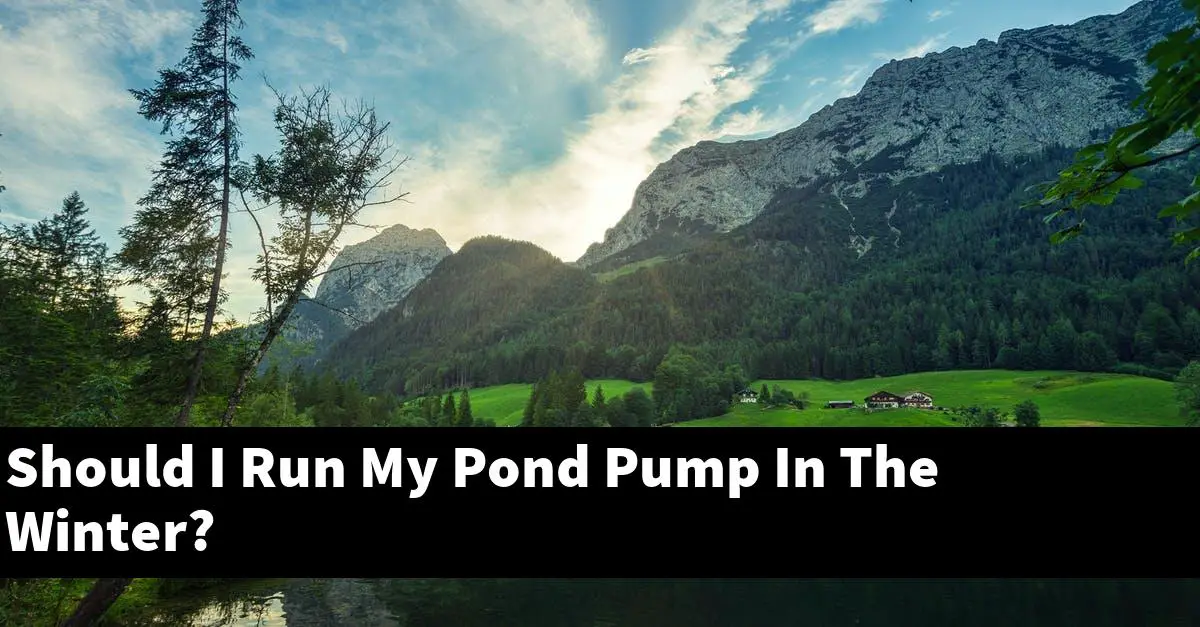 Should I Run My Pond Pump In The Winter?