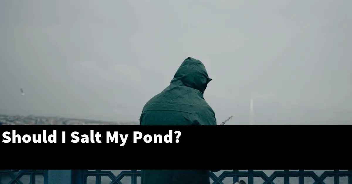 Should I Salt My Pond?