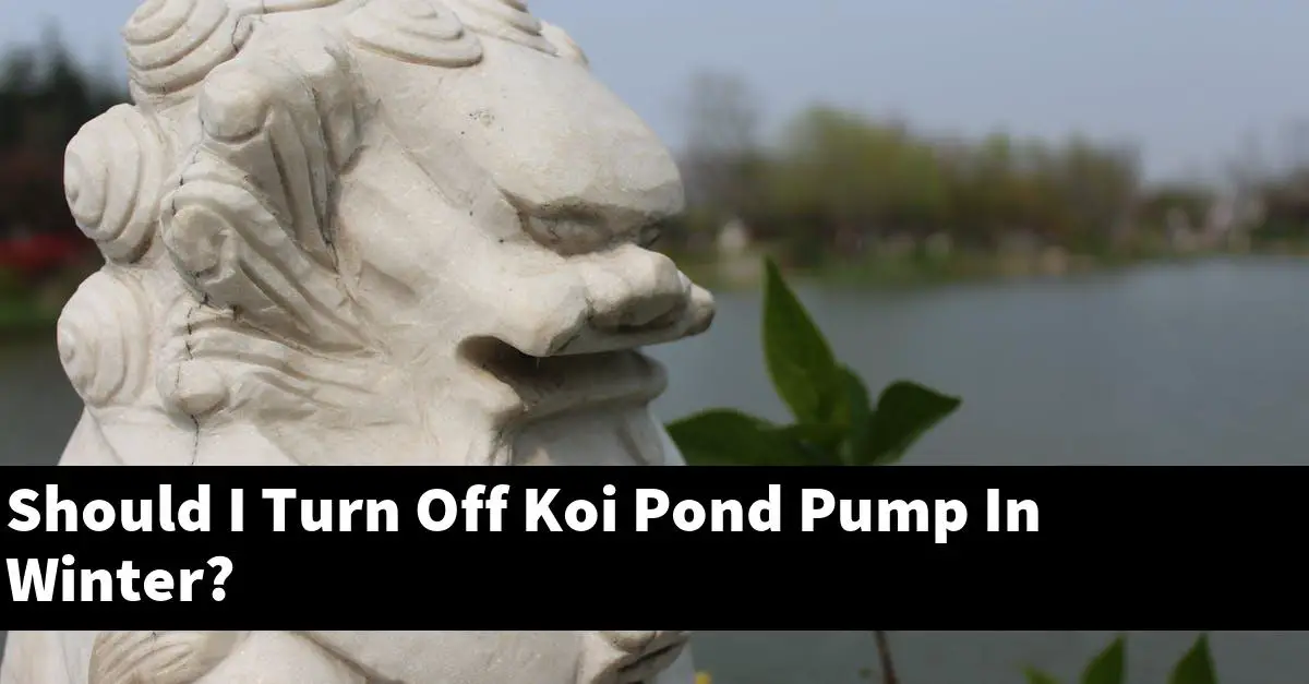 Should I Turn Off Koi Pond Pump In Winter?