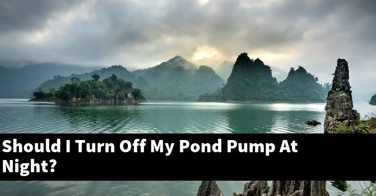 Should I Turn Off My Pond Pump At Night?