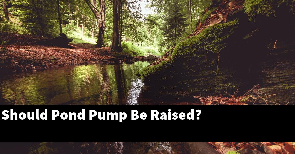 Should Pond Pump Be Raised?