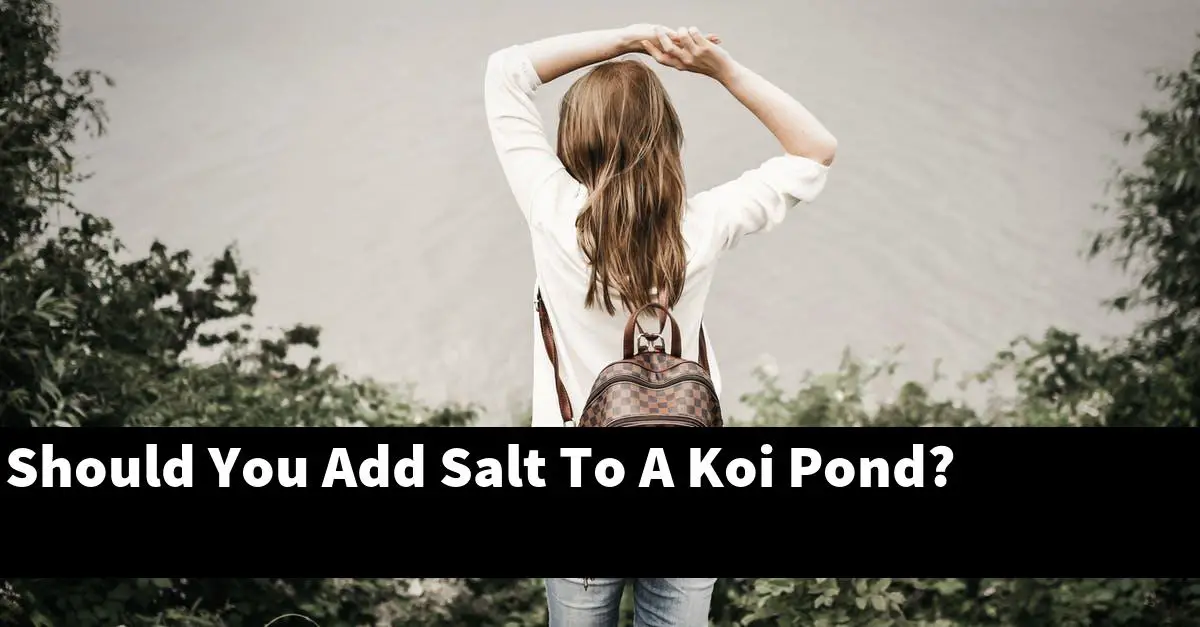 Should You Add Salt To A Koi Pond?