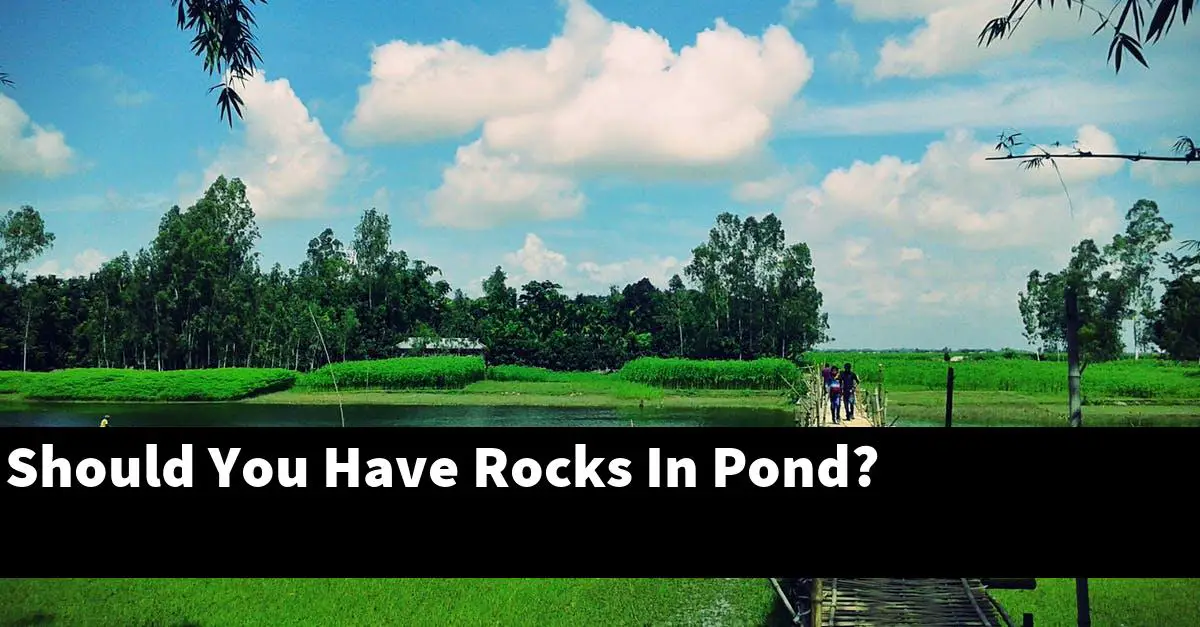 Should You Have Rocks In Pond?