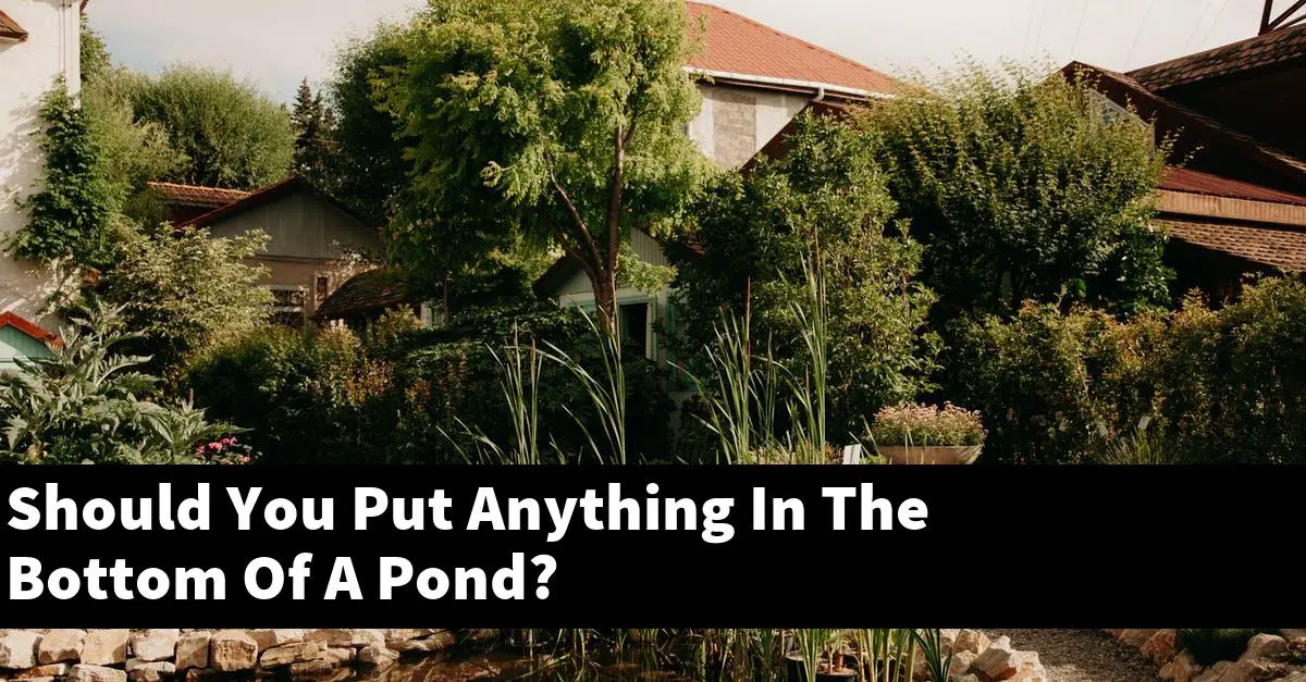 Should You Put Anything In The Bottom Of A Pond?