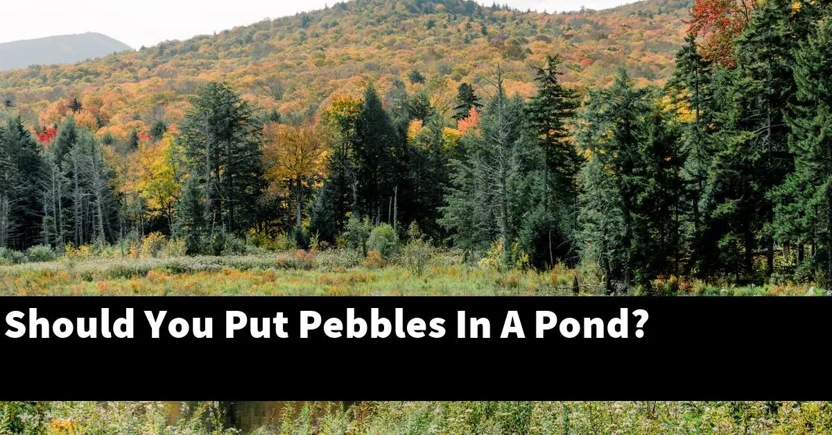 Should You Put Pebbles In A Pond?
