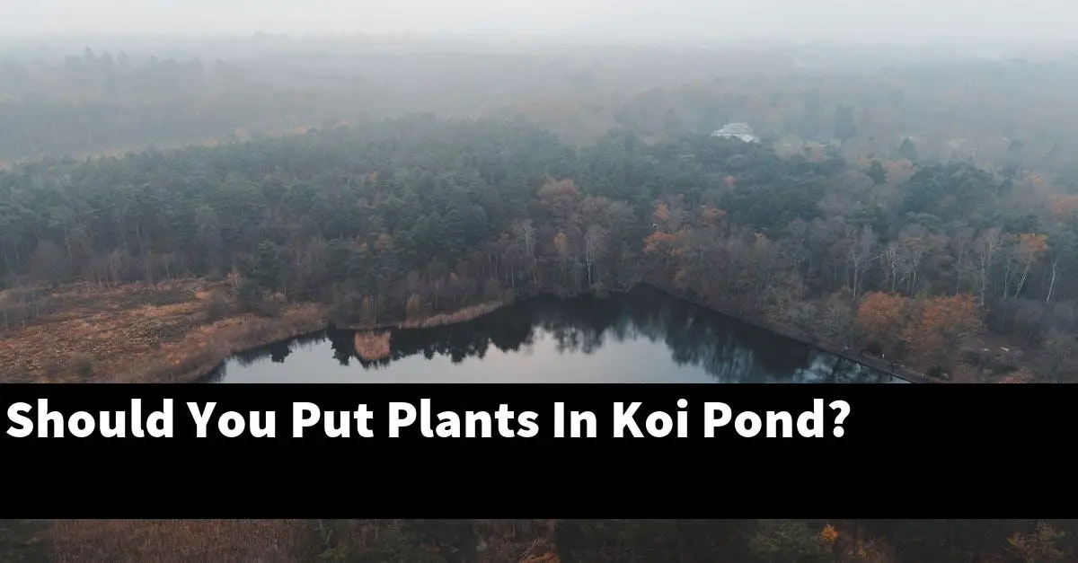 Should You Put Plants In Koi Pond?