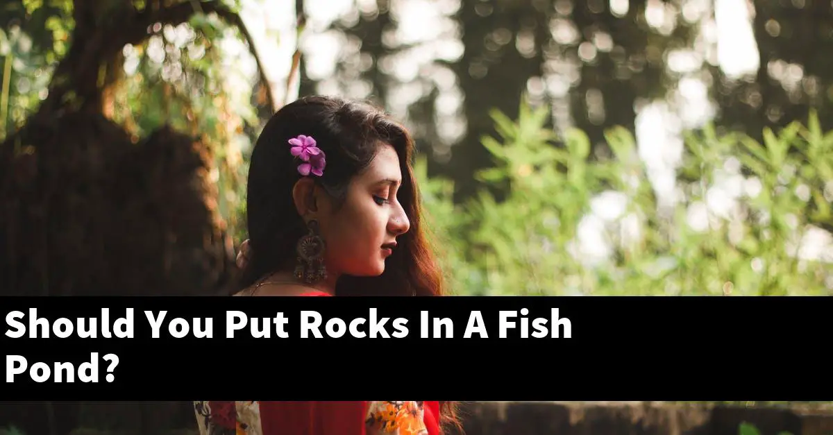 Should You Put Rocks In A Fish Pond?