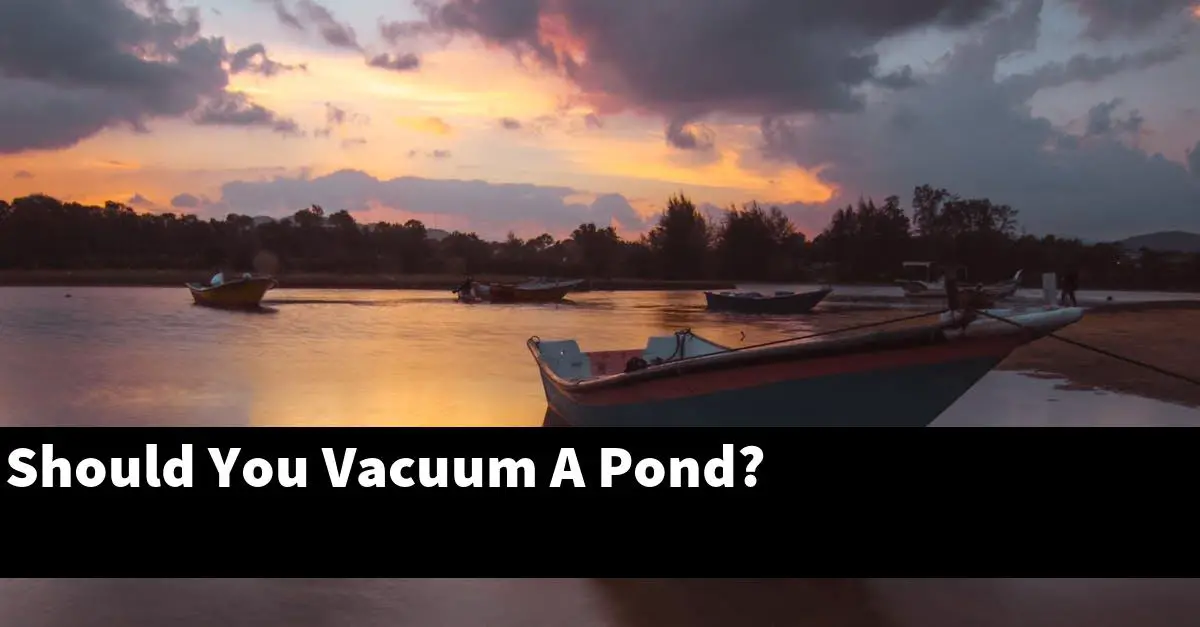 Should You Vacuum A Pond?