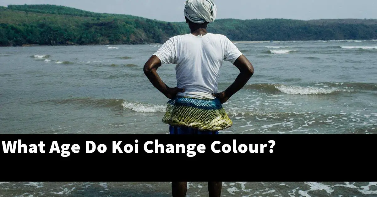 What Age Do Koi Change Colour?
