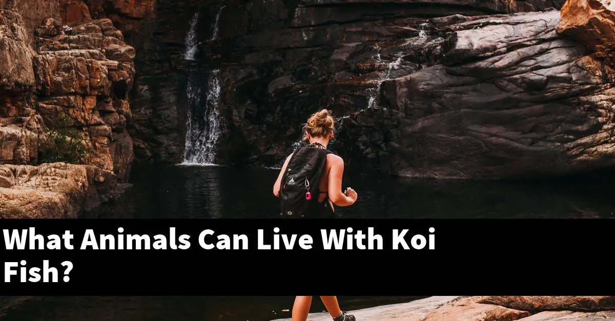 What Animals Can Live With Koi Fish?