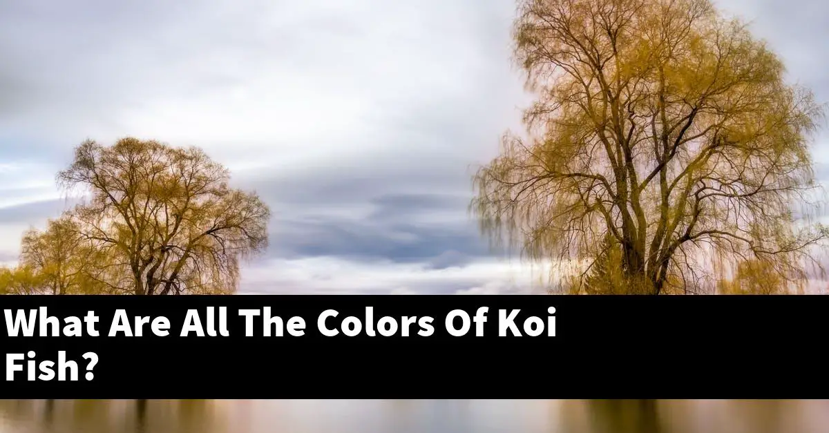 What Are All The Colors Of Koi Fish?