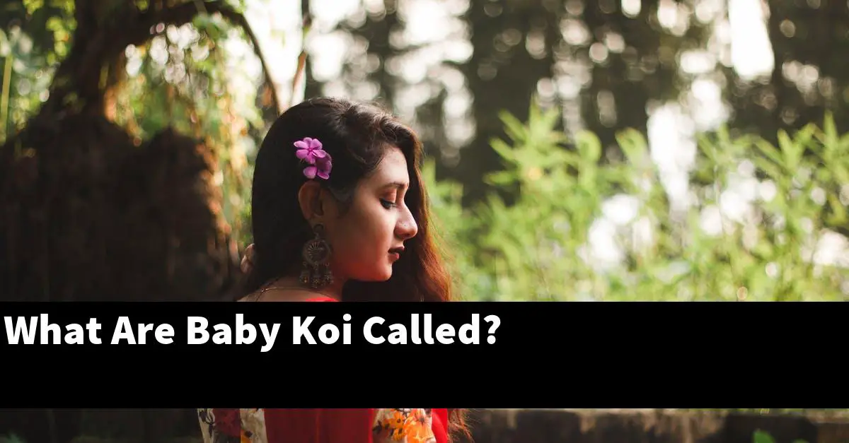 What Are Baby Koi Called?