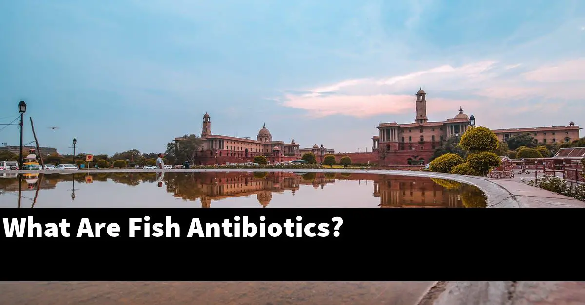 What Are Fish Antibiotics?