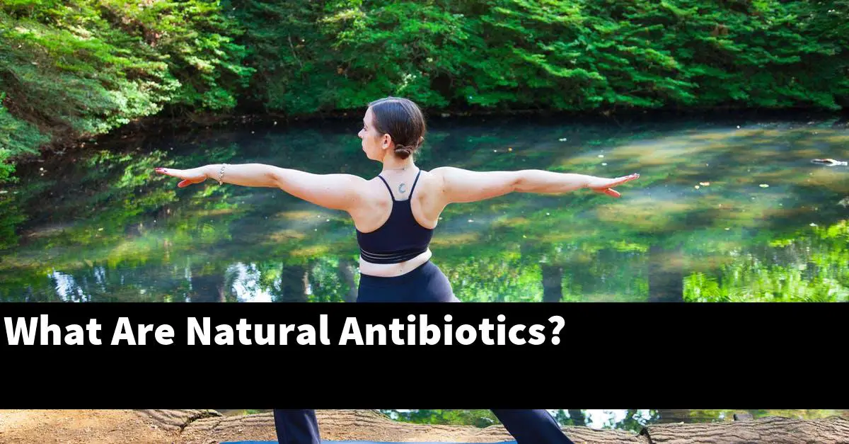 What Are Natural Antibiotics?