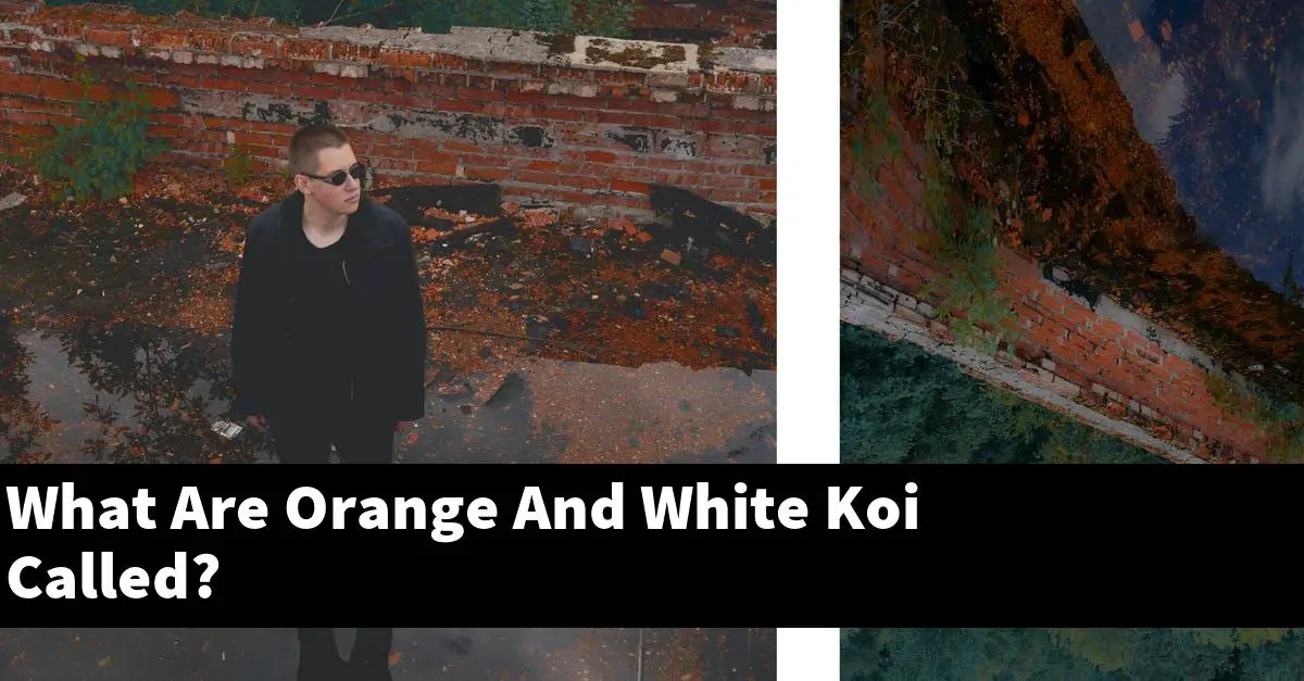 What Are Orange And White Koi Called?