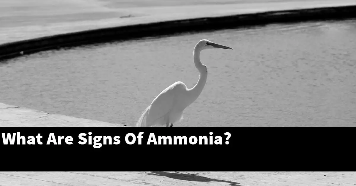 What Are Signs Of Ammonia?