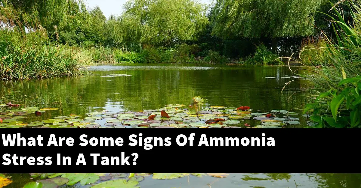 What Are Some Signs Of Ammonia Stress In A Tank?