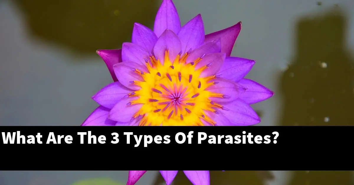What Are The 3 Types Of Parasites?