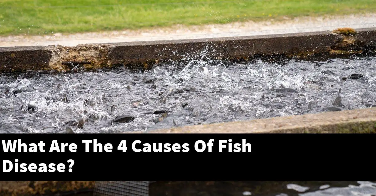 What Are The 4 Causes Of Fish Disease?