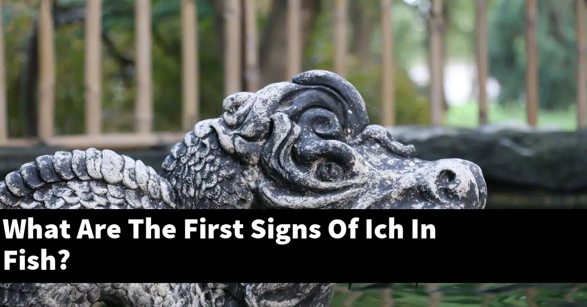 What Are The First Signs Of Ich In Fish?