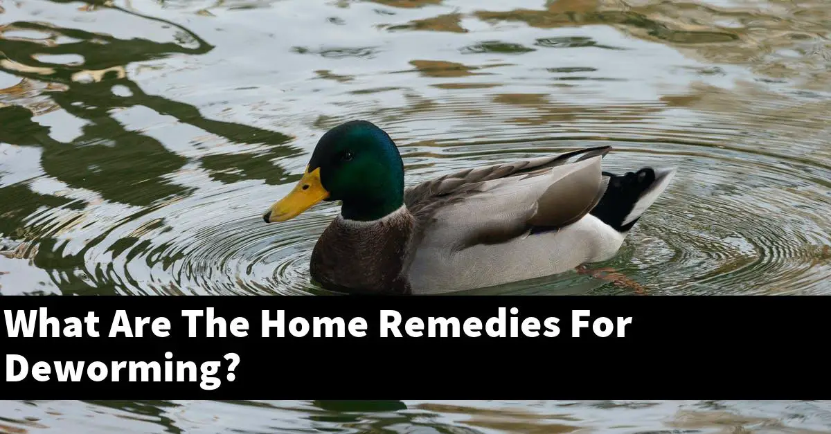 What Are The Home Remedies For Deworming?