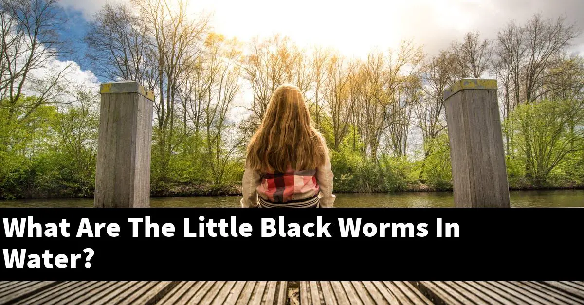What Are The Little Black Worms In Water?