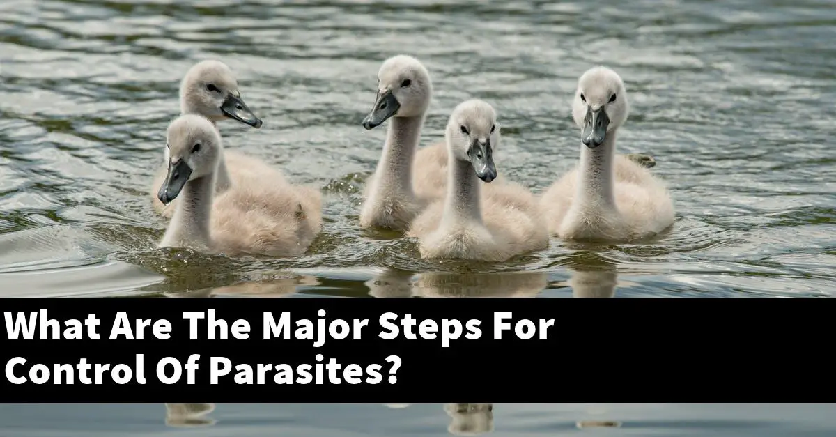 What Are The Major Steps For Control Of Parasites?
