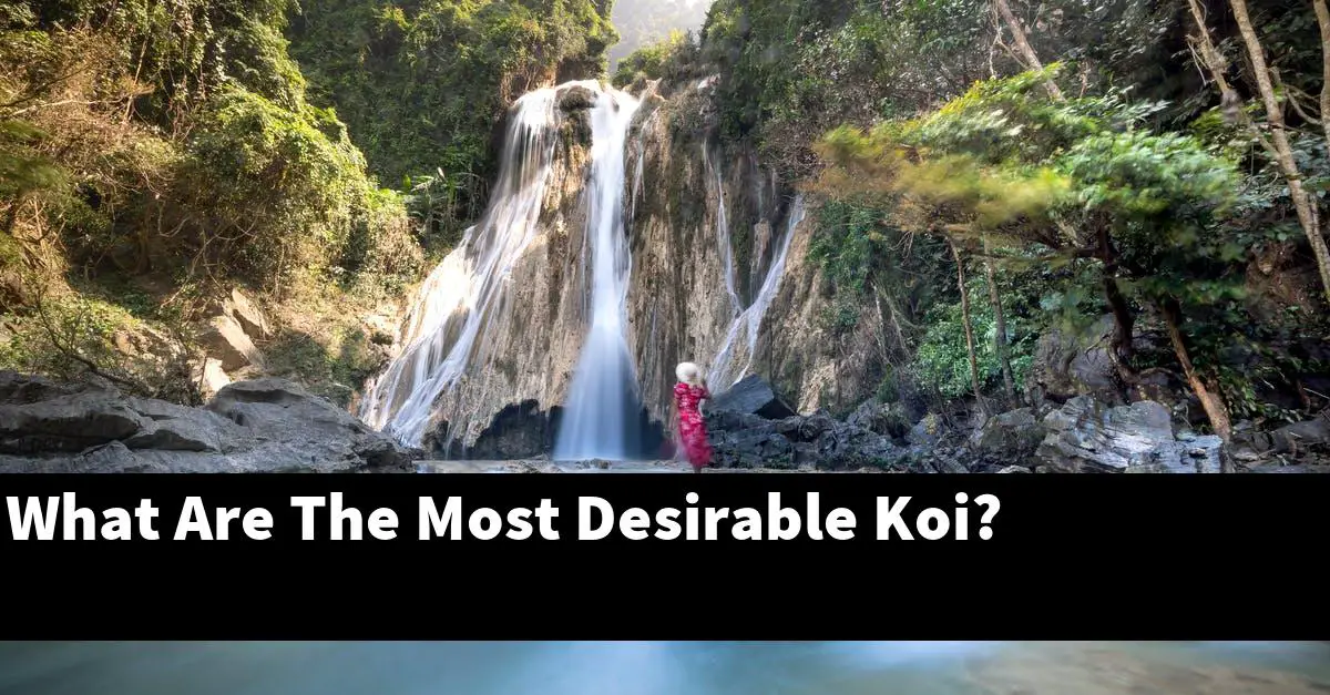 What Are The Most Desirable Koi?