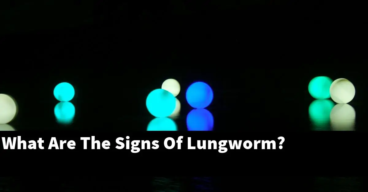 What Are The Signs Of Lungworm?