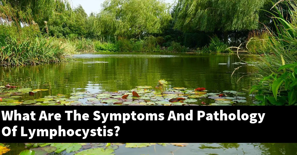 What Are The Symptoms And Pathology Of Lymphocystis?