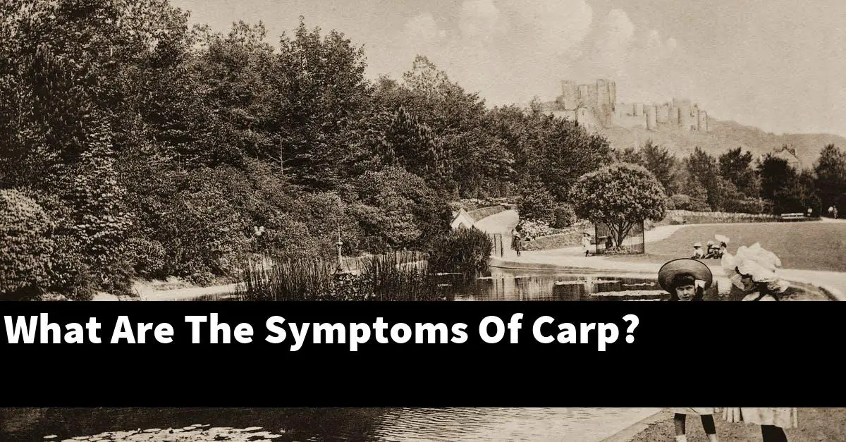 What Are The Symptoms Of Carp?