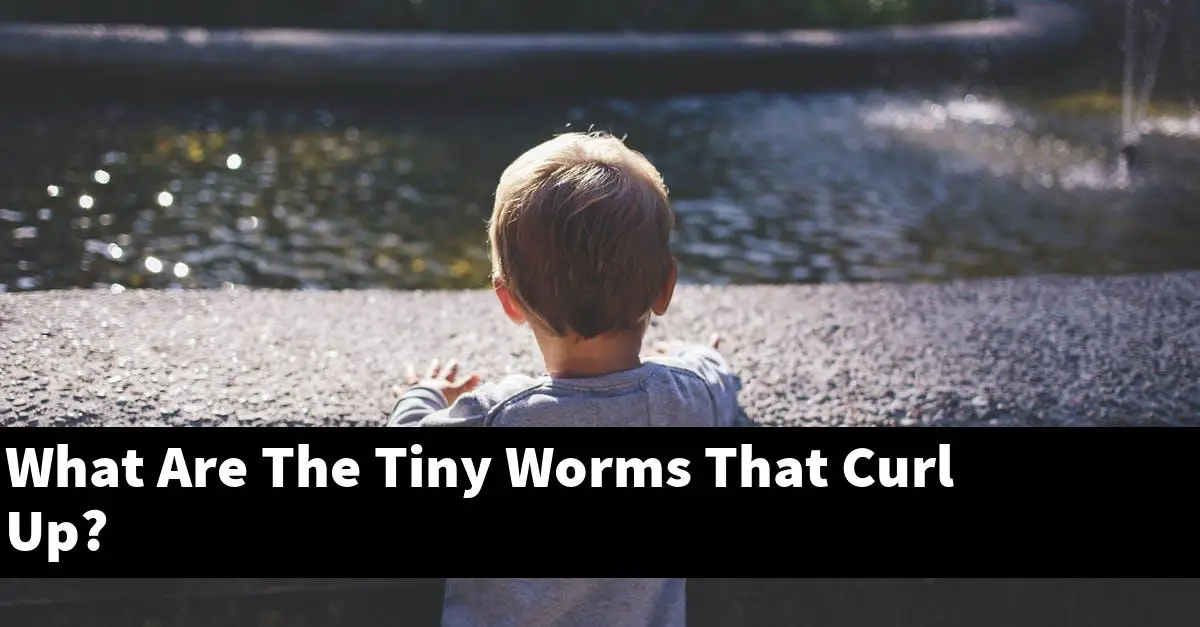 What Are The Tiny Worms That Curl Up?